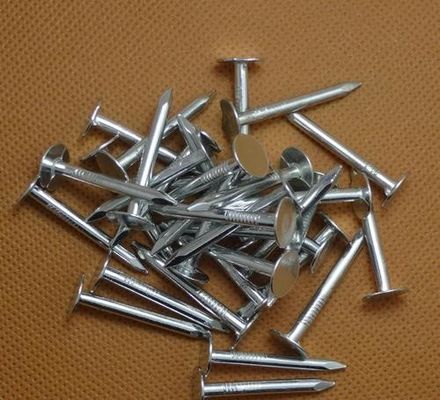 কুণ্ডলী ছাদ পেরেক সংগ্রাহক
